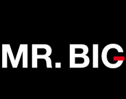 Mr. Big vaateliike